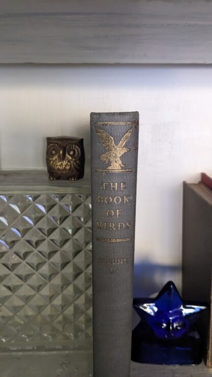 1937 The Book of Birds - Vol II - National Geographic Society - upper Spine View