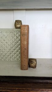 1902 Lives of the Hunted by Ernest Thompson Seton - 1st Edition - 3rd Impression - Spine View