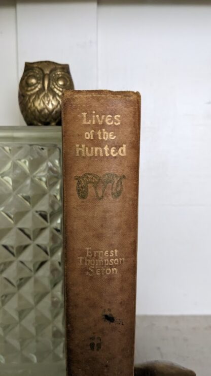 1902 Lives of the Hunted by Ernest Thompson Seton - 1st Edition - 3rd Impression - upper spine view