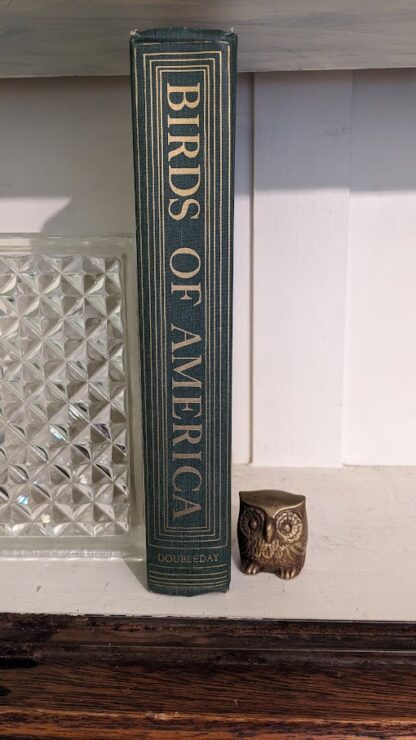 1936 Birds of America - spine view