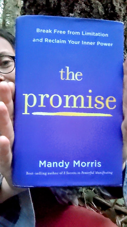 A Reading from the book The Promise by Mandy Morris - Ash Tree Books