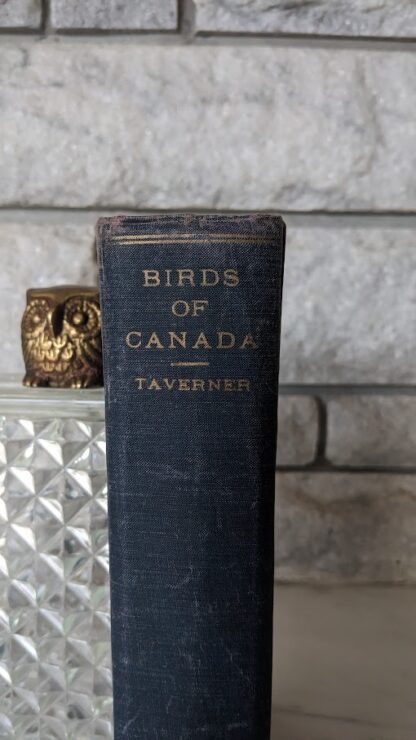 1934 Birds of Canada by P.A. Taverner - upper spine view