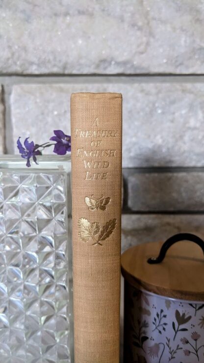 A Treasury of English Wild Life Edited by W.J. Turner