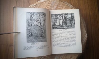 A Treasury of English Wild Life Edited by W.J. Turner - pages inside