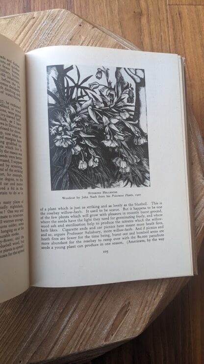 Stinking Hellebore - A Treasury of English Wild Life Edited by W.J. Turner