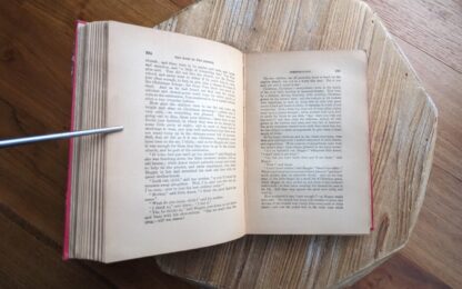 pages inside - The Golden Ladder by Susan and Anna Warner - undated - Frederick Warne and Co