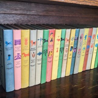 Lot of 17 Popular titles from Children’s Junior Deluxe Editions Collection - Spine View