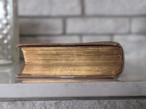 Gold gilted Top edge of textblock - 1877 Heroes of Discovery by Samuel Mossman published by Oliphant Anderson & Ferrier