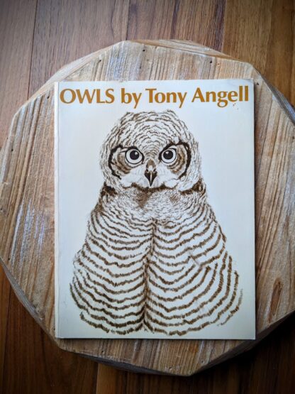 1979 Owls by Tony Angell - first paperback edition