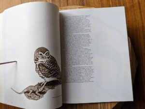 1979 Owls by Tony Angell - first paperback edition - pages inside
