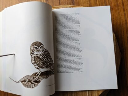 1979 Owls by Tony Angell - first paperback edition - pages inside
