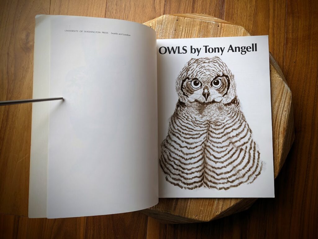 1979 Owls by Tony Angell - first paperback edition - title page