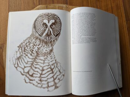 Adult Great Gray Owl - 1979 Owls by Tony Angell - first paperback edition