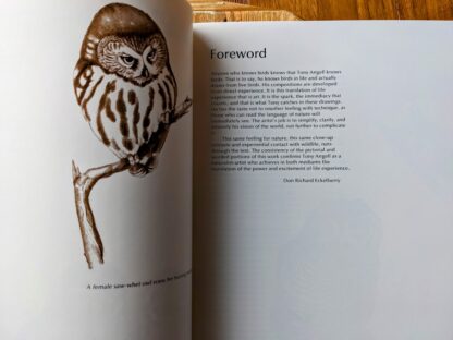 Foreward - 1979 Owls by Tony Angell - first paperback edition