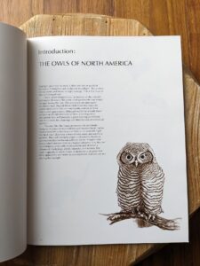 The Owls of North America - 1979 Owls by Tony Angell - first paperback edition