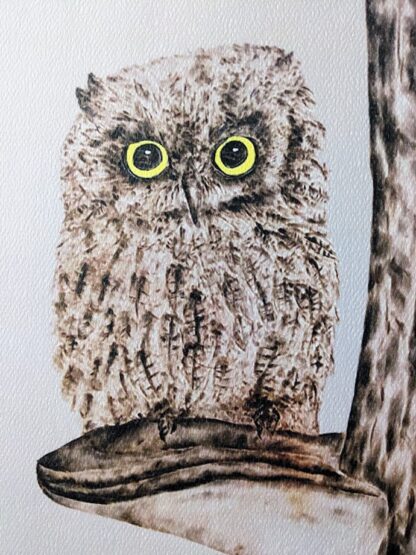 Tofino Artist Screech Owl Print - up close