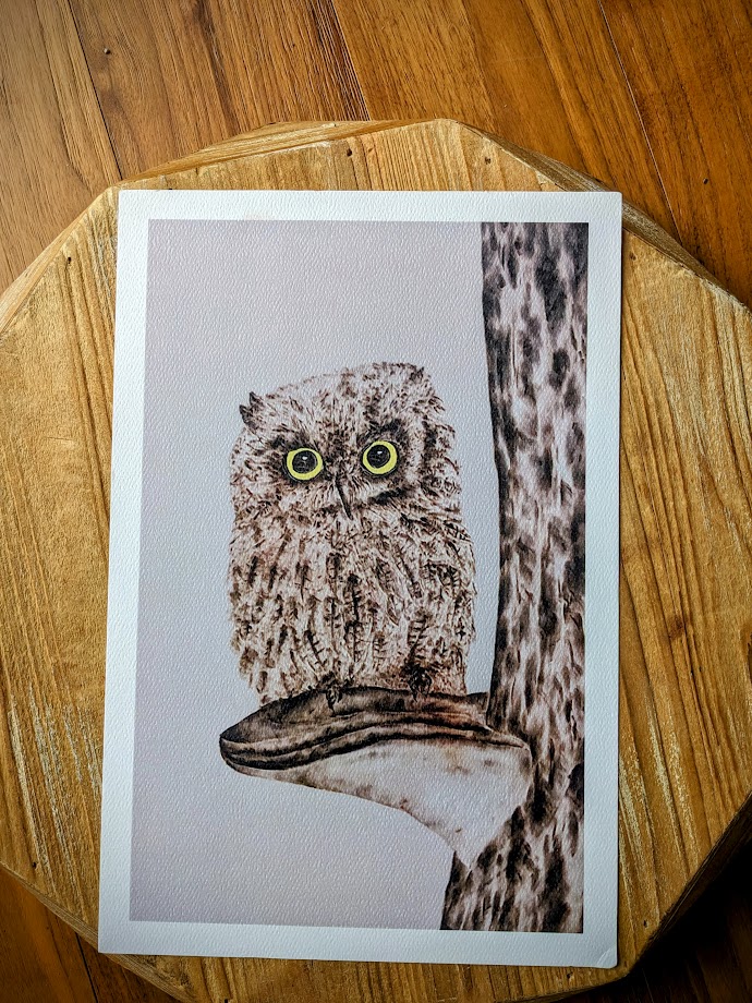 Tofino Artist Screech Owl Print