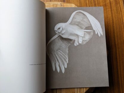 illustration of a male snowy owl - 1979 Owls by Tony Angell - first paperback edition