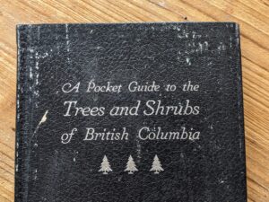 1937 A Pocket Guide to the Trees and Shrubs of British Columbia by B. G. Griffith - British Columbia Forest Branch - Front Panel up close