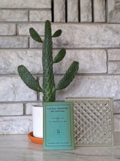 1937 Cactus Growing for Beginners by Vera Higgins and H.T. Marrable