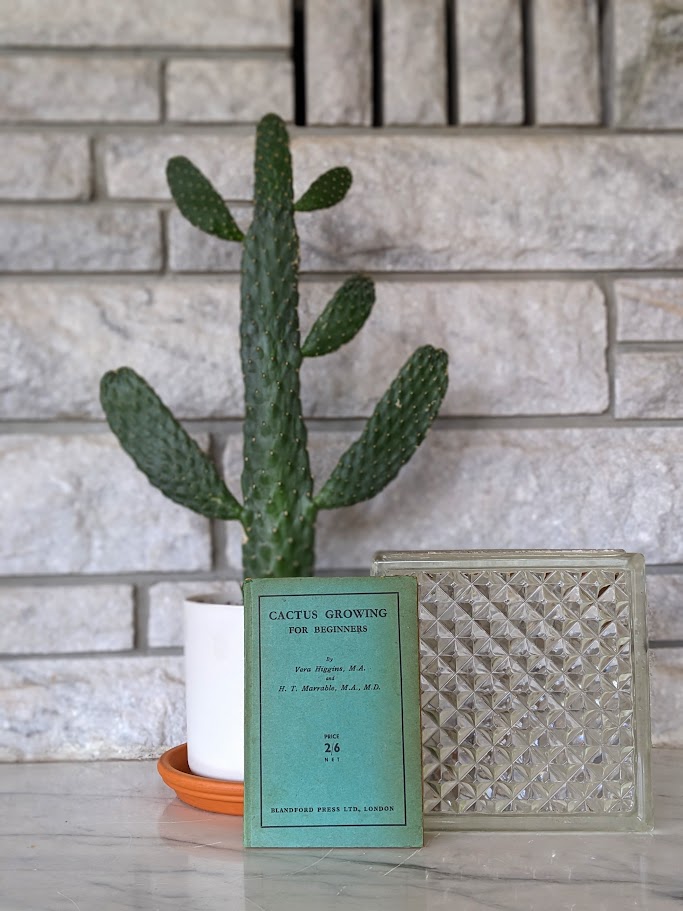 1937 Cactus Growing for Beginners by Vera Higgins and H.T. Marrable