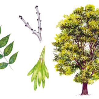 Nature, Gardening & Wildlife