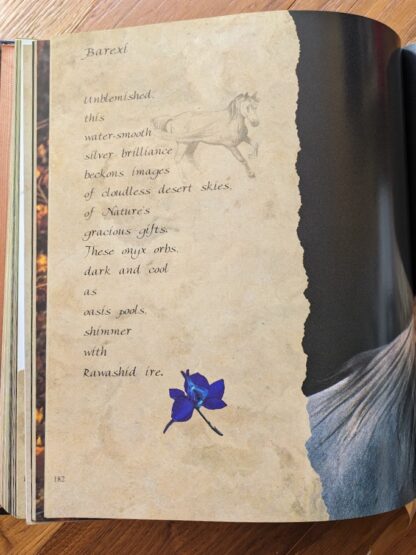 Barexi - page inside - First Edition copy of Horses of the Sun A Gallery of the World's Most Exquisite Equines by Robert Vavra