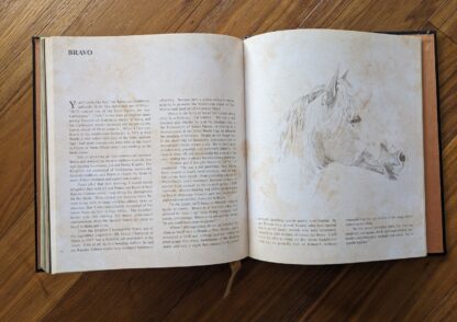 Bravo - pages inside - First Edition copy of Horses of the Sun A Gallery of the World's Most Exquisite Equines by Robert Vavra