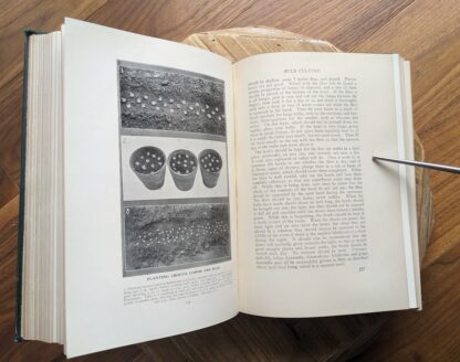 Bulb Culture - 1937 The Complete Book of Gardening by John Coutts Illustrated
