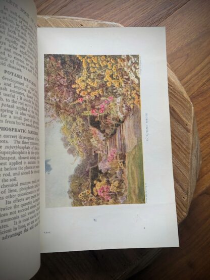 Colour Plate - An Autumn Border - 1937 The Complete Book of Gardening by John Coutts Illustrated