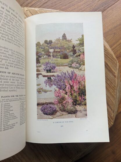 Colour plate - A Corner of the pool - 1937 The Complete Book of Gardening by John Coutts Illustrated