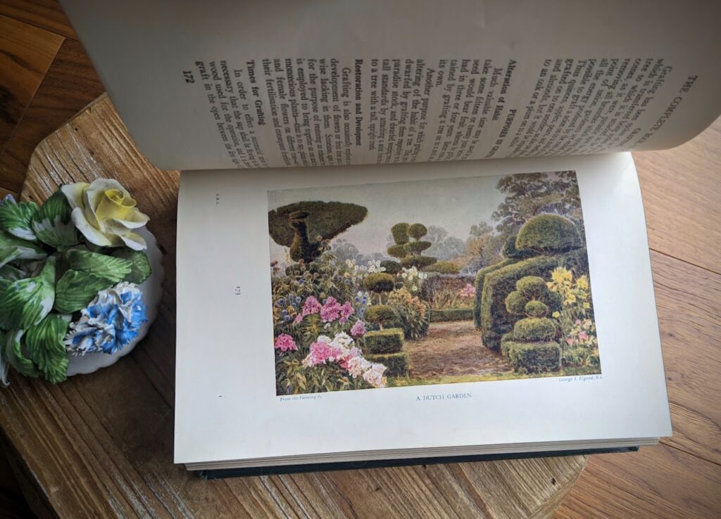 Colour plate - A Dutch Garden - 1937 The Complete Book of Gardening by John Coutts Illustrated