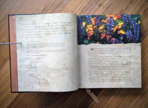 Copyright page and first page of the foreword - First Edition of Horses of the Sun A Gallery of the World's Most Exquisite Equines by Robert Vavra