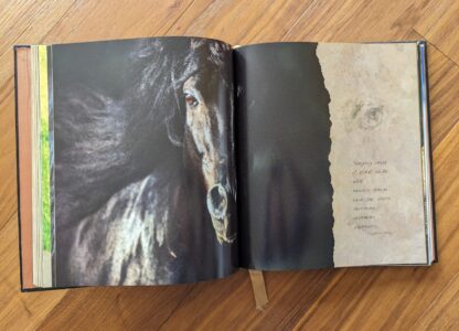 First Edition copy of Horses of the Sun A Gallery of the World's Most Exquisite Equines by Robert Vavra - Pages inside