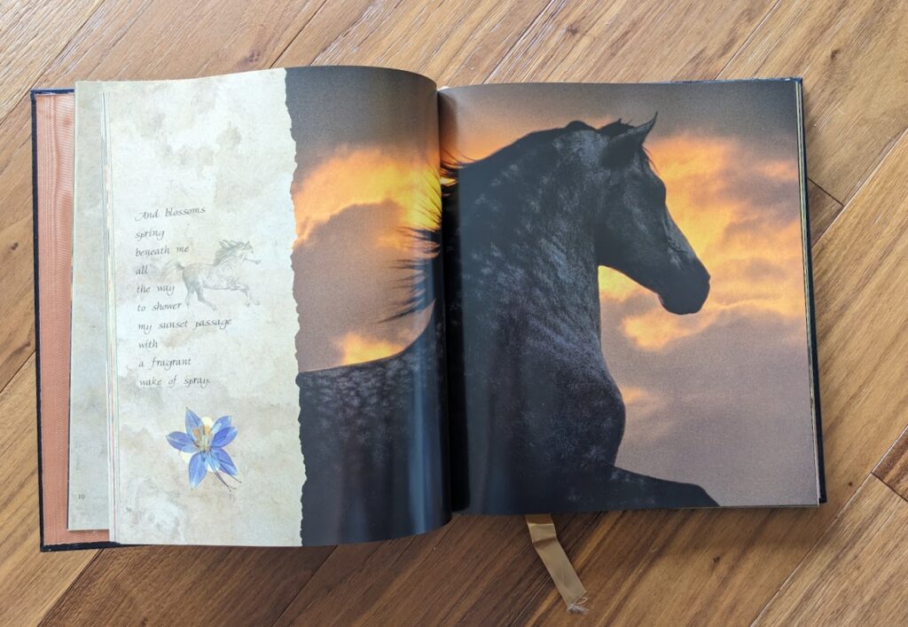 First Edition of Horses of the Sun A Gallery of the World's Most Exquisite Equines by Robert Vavra - Pages inside