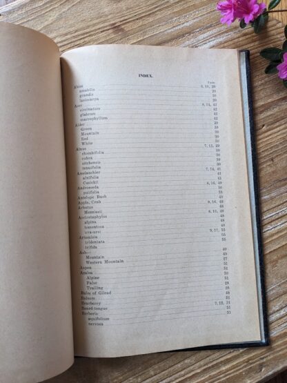 Index - 1937 A Pocket Guide to the Trees and Shrubs of British Columbia by B. G. Griffith - British Columbia Forest Branch