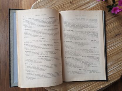 Pages inside - 1937 A Pocket Guide to the Trees and Shrubs of British Columbia by B. G. Griffith - British Columbia Forest Branch