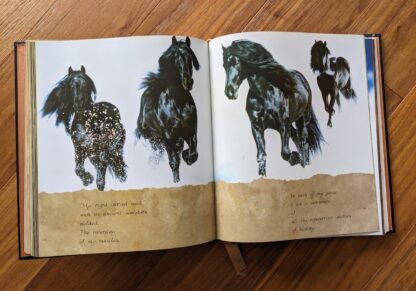 Pages inside - First Edition copy of Horses of the Sun A Gallery of the World's Most Exquisite Equines by Robert Vavra