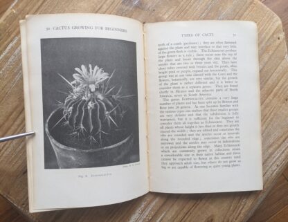 Types of Cacti - 1937 Cactus Growing for Beginners by Vera Higgins and H.T. Marrable