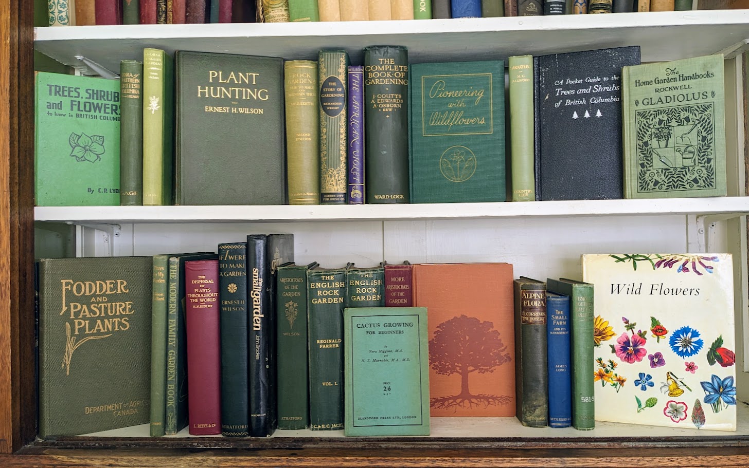 a selection of Collectible Gardening and Nature Books displayed on a shelf - Ash Tree Books