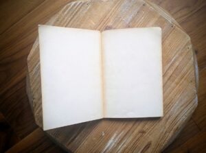 front pastedown and endpaper - 1937 Cactus Growing for Beginners by Vera Higgins and H.T. Marrable