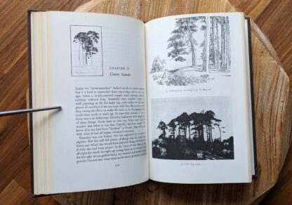 Chapter 17 Green Sweets - 1974 The Enchanted Places by Christopher Milne - First Canadian Edition