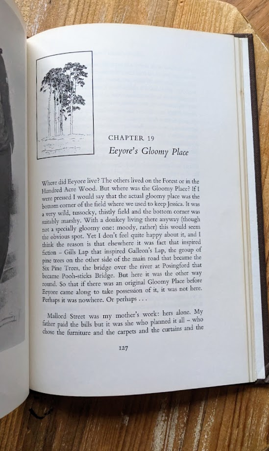 Chapter 19 Eeyore's Gloomy Place - 1974 The Enchanted Places by Christopher Milne - First Canadian Edition