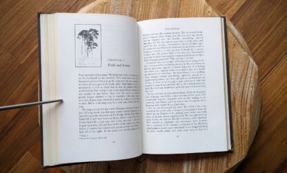 Chapter 8 Field and Forest - 1974 The Enchanted Places by Christopher Milne - First Canadian Edition - with original Dust jacket