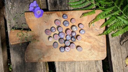 Hand Carved Elder Fulthark Rune Set on Star Ruby - Ash Tree Runes