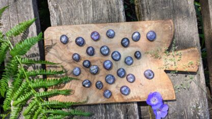 Hand Carved Elder Fulthark Rune Set on Star Ruby - Ash Tree Runes - rounded side up