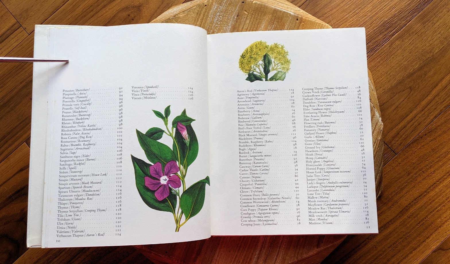 Page 2 and 3 of 4 of the Index - 1973 Wild Flowers – First Edition Featuring Redouté & Besler Illustrations - Published by Galahad Books