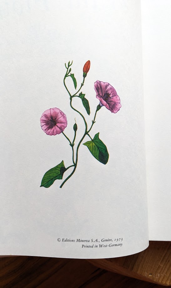 illustrated page inside - 1973 Wild Flowers – First Edition Featuring Redouté & Besler Illustrations - Published by Galahad Books