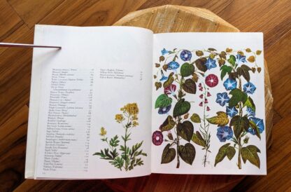 page 4 of 4 of the Index - 1973 Wild Flowers – First Edition Featuring Redouté & Besler Illustrations - Published by Galahad Books