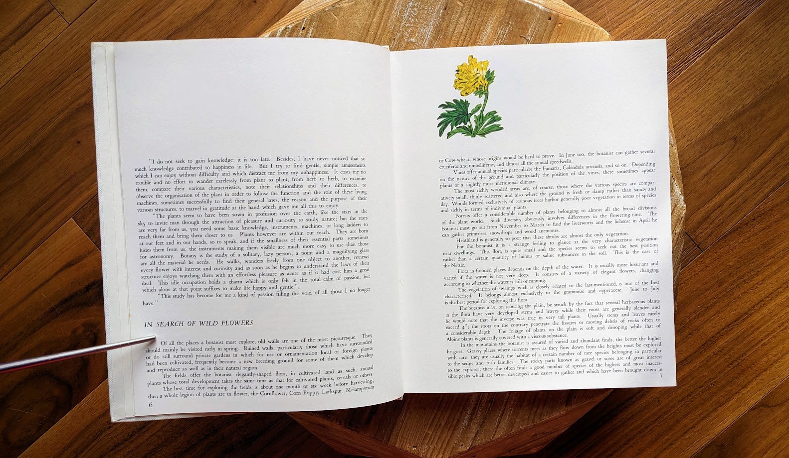 pages inside - 1973 Wild Flowers – First Edition Featuring Redouté & Besler Illustrations - Published by Galahad Books